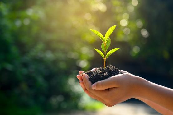 Agriculture & Environment BIO Action