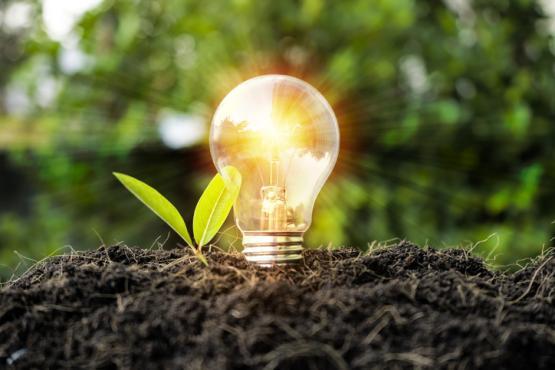 Agriculture & Environment Toolkits